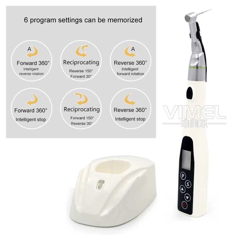 Dental Endo Motor Apex Locator - Localisateur d'apex dentaire, ensemble complet, avec