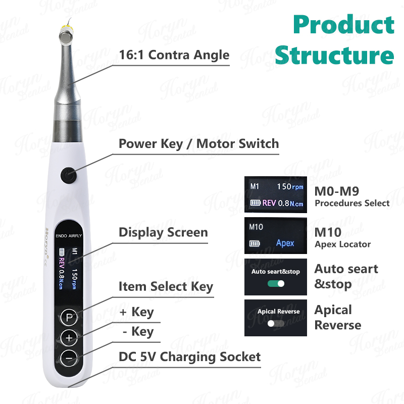 Horyn – moteur Endo dentaire s - Dental Endo Motor Apex Locator avis et prix